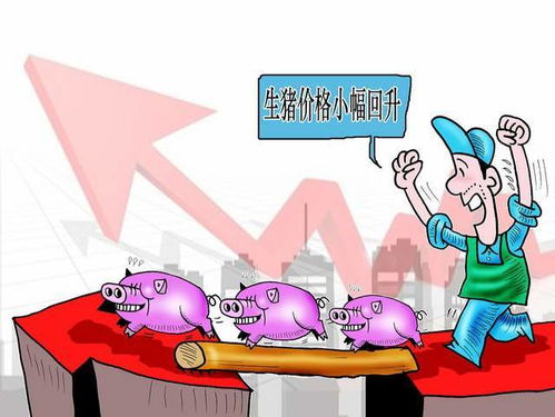 猪饲料价格涨跌原因是什么？新手如何省钱避坑？