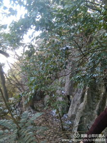 特色一：稀有珍品， 独一无二