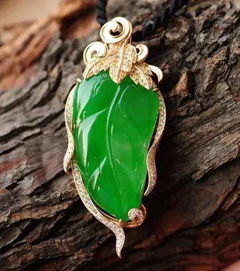 照顾吊篮的小秘诀