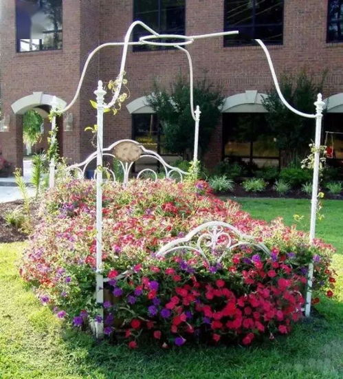 春天花儿俏，哪种花卉种植好？