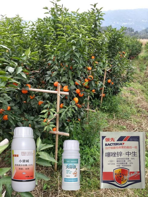 啶氧丙环唑产品信息