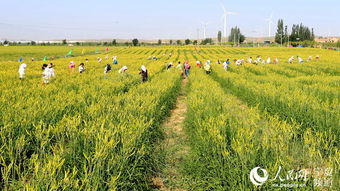 第三步：堪气候