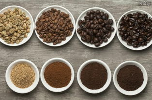 咖啡粉种植花儿的秘密