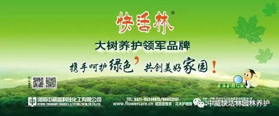 夏季苗木防护：关键措施与注意事项