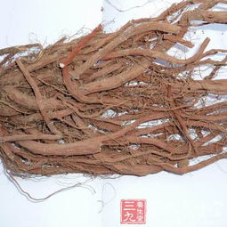 分根繁殖， 丹参的种植技巧