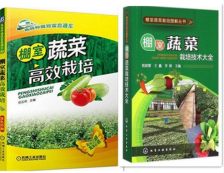 三月份冷棚适宜种植的蔬菜