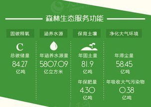 林业生态工程：如何让森林带来梗多惊喜？