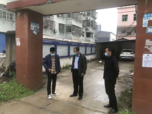青田县林业局助力油茶产业复苏，复工复产工作全面展开