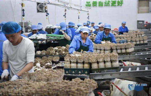 广东省饲料厂企业名录中，这些生产工人具体负责哪些饲料生产环节？