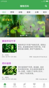 植物百科APP：绿色知识宝库的钥匙