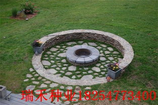 草种大揭秘：耐碾压草坪的奥秘