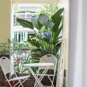 四、仙人掌的耐旱特性