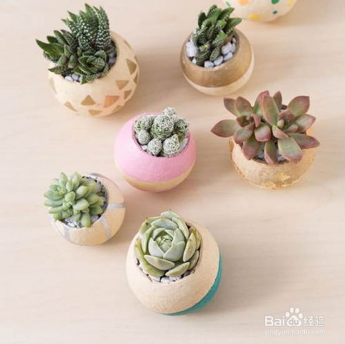 石头花盆DIY，新手也能轻松上手