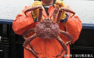 揭秘石岩蟹与帝王蟹：价格对比与渔业市场指南
