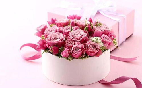 粉玫瑰一般送什么人