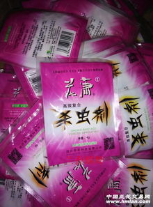春季除虫：多肉植物的小秘密