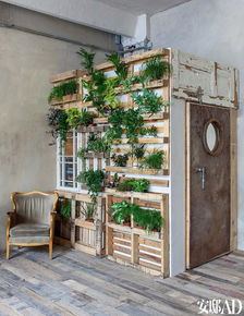 室内绿植选择：生机勃勃的家居装饰