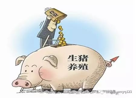 畜牧养殖十忌：防疫疏忽、饲料不当、环境恶劣、管理粗放、疾病防治缺位