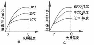 植物通过感知光、温度、湿度等环境因素来辨别物品和适应环境
