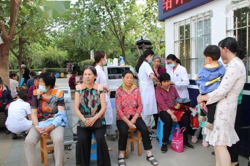 办公室植物中的“杀手”有哪些，如何避免它们影响办公室健康