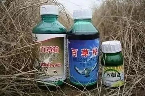 百草枯生产工艺中，如何控制反应温度以优化除草剂产品质量？