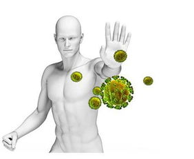 打座壮素：真的Neng让人体免疫力大增吗？