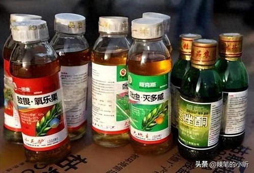 劳动牌农药的记忆