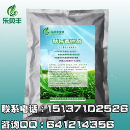 青贮饲料总发霉，用乳酸菌厌氧发酵法能省8万损耗吗？