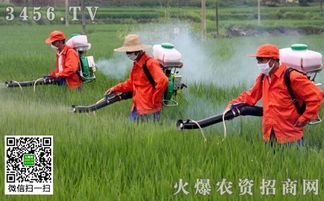 我对它的感情，就像对自己的孩子一样