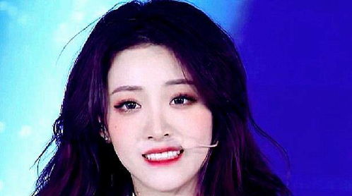 月季的五彩斑斓