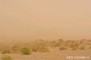 神奇的“滴灌播种法”