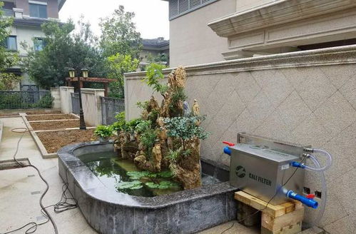 注重态平衡， 创造多样态环境