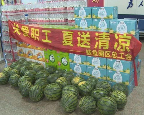 伏天将至，蛋鸡养殖需防暑降温