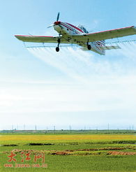 农药飞机租赁价格大揭秘