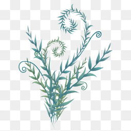 藤蔓植物是什么？新手入门必看小百科