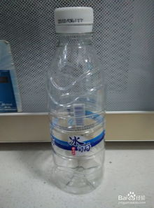 矿泉水瓶种植，适合哪些植物