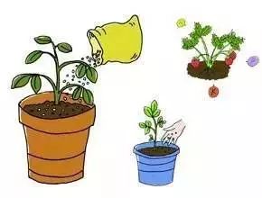 植物播种姿势要正确吗？不同植物播种方法有区别吗