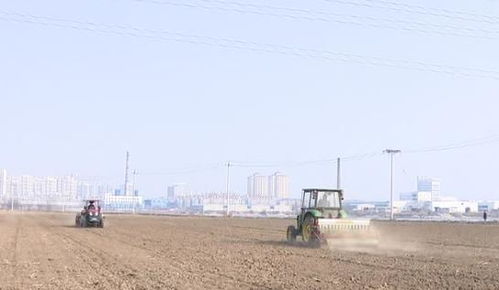 播种时节，得讲究