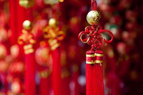黄金风铃花语：富贵吉祥，财运亨通