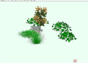 植物花卉品种众多，各具独特魅力。