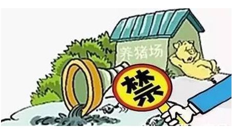 韶羞法师养殖方法中为何会有如此难闻的臭味困扰