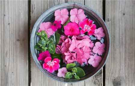 滋养肌肤， 美丽加分