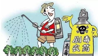 隔夜使用农药的建议