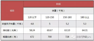 大猪料和小猪料营养成分有何区别？各自都含有哪些成分？