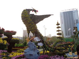 首义广场, 菜园子里的新风景