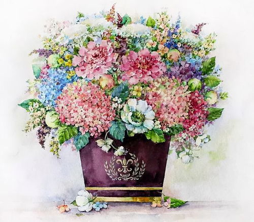 花团锦簇， 生机勃勃的太阳花