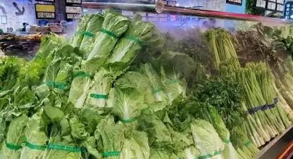 圆山药：地下的宝藏