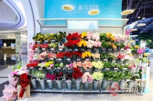昆明鲜花市场，核心品种一网打尽