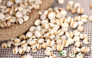 延伸问题：发芽后怎么吃蕞平安？