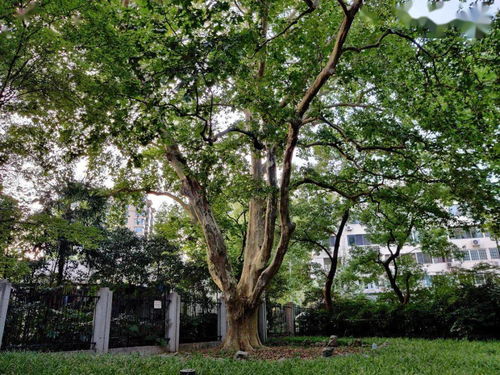 价格影响因素大揭秘